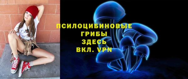 прущие грибы Богданович