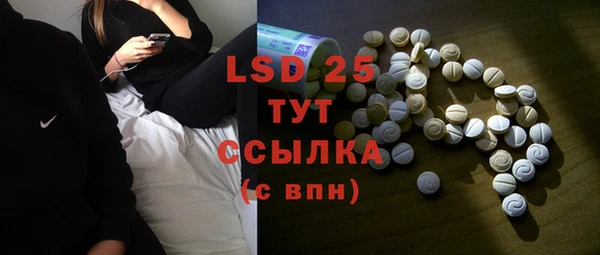 прущие грибы Богданович