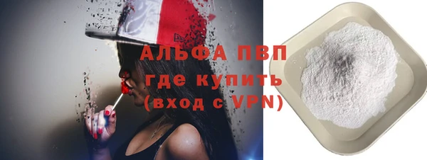 прущие грибы Богданович