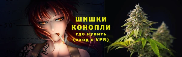 прущие грибы Богданович