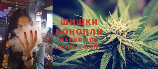 прущие грибы Богданович