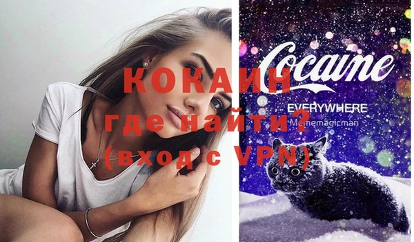 прущие грибы Богданович