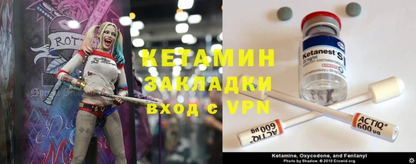 прущие грибы Богданович