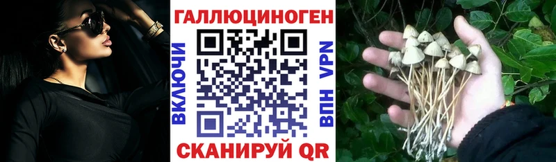 Псилоцибиновые грибы мицелий  маркетплейс состав  Дубовка  закладки  OMG вход 
